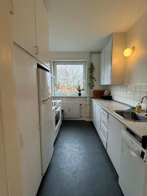Stor Og Lys Lejlighed I Hjertet Af Holstebro Buitenkant foto