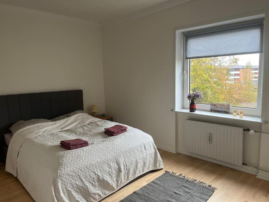 Stor Og Lys Lejlighed I Hjertet Af Holstebro Buitenkant foto