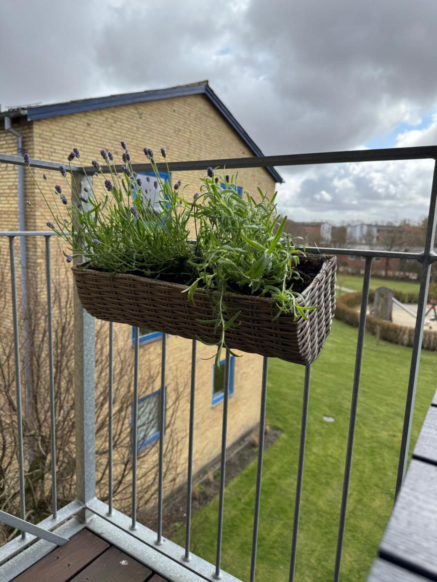 Stor Og Lys Lejlighed I Hjertet Af Holstebro Buitenkant foto
